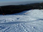 Piste damée au Mehliskopf