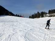 Piste intermédiaire au téléski du versant sud
