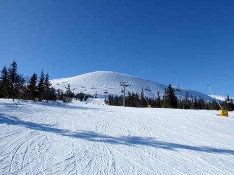 Europe du Nord: Taille des domaines skiables – Taille Trysil