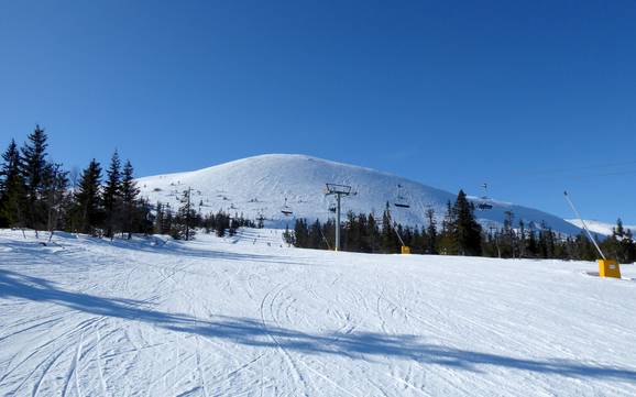 Hedmark: Taille des domaines skiables – Taille Trysil