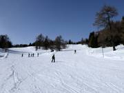 Piste facile au téléski Hochsonnlift