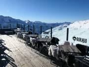 Chalet de restauration recommandé : Heaven 3000