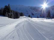 Piste facile Gerschnialp