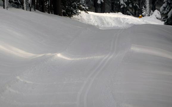 Ski nordique Silberregion Karwendel  – Ski nordique Kellerjoch – Schwaz