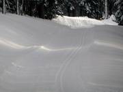 Piste de ski de fond am Grafenast