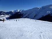 Piste facile n° 46 Planatsch