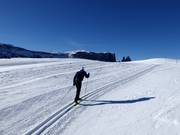 Ski de fond sur l'Alpe de Siusi