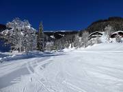 Zone débutants Schmittental
