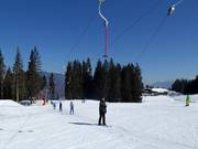 Rimmlermoos 1 C2 - Téléski