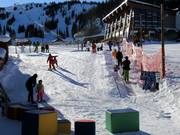 Tiny Tiger Carpet - Tapis roulant/Moving Carpet