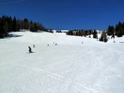 Descente Tschaneck-Königswiese