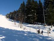 Bühlertallift 2 - Téléski à pioches