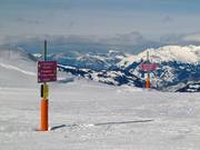 Signalisation des pistes