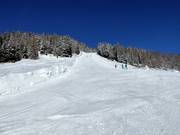 Piste noire Sergerwiese