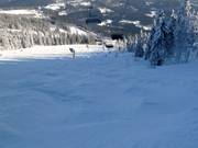 Piste à bosses sous le télésiège Nordhang