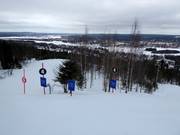 Piste freeride difficile à travers une forêt clairsemée