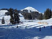 Bon plan pour les enfants :  - Jardin des neiges de Brixen im Thale