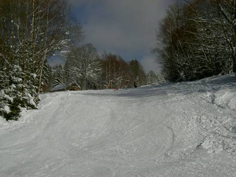 Diversité des pistes Pilsen – Diversité des pistes Špičák