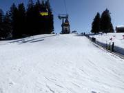 Pente d'entraînement dans le jardin d'enfants avec tapis roulant
