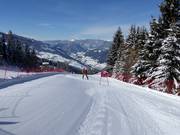 Piste de course publique Planai