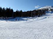 Pente d'entraînement avec tapis roulant