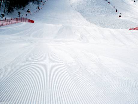 Préparation des pistes Krasnaïa Poliana (Sotchi) – Préparation des pistes Rosa Khutor