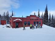 Chalet de restauration recommandé : Paradise Camp