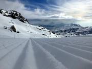 Parfaitement préparé !