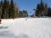 Zone pour débutants Ochsenkopf Sud