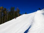 Courte section noire Ried