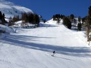 Descentes en forêt dans la partie inférieure du Zehnerkar