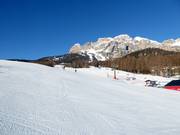 Piste n° 27 Roncato