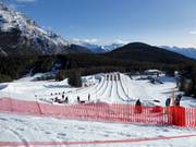 Bon plan pour les enfants : 