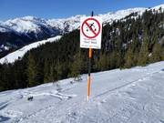 Protection de la forêt