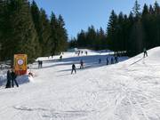 Piste familiale facile
