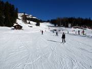 Piste d'entraînement Arnouva avec tapis roulant