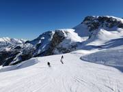 Descente olympique facile dames