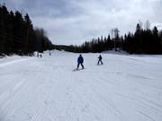 Pente d'entraînement avec son propre téléski à la station de vallée