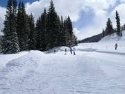 Tapis magique Solitude