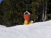 Installations d’enneigement mobiles dans le domaine skiable