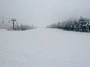 Descente Antelao Cino Menegus