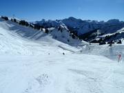 Piste intermédiaire Hohe Wacht