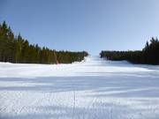 Piste Torsfallet n° 22