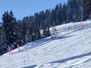 Piste de mesure de vitesse : Hexenschuss au Siller-Keat à Söll
