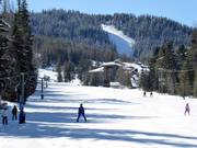 Piste facile Beginner au Silver Platter