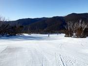 Piste facile Walkabout