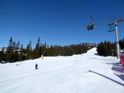 Piste facile Nybegynnerbakken