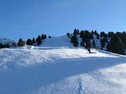 Piste difficile 8 Mohrenkopf