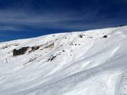 Vue sur le Saddle Basin