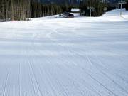 Large et parfaitement préparée